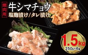 G3382 牛シマチョウ 焼肉用 塩麹・タレ漬けセット 合計1.5kg【味付け 小分け 焼くだけ 簡単調理 BBQ 牛肉 ホルモン 250g×6袋】