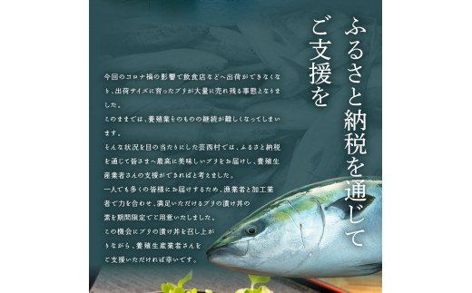 【CF-R7hbk】KYF120　海鮮「ブリの漬け丼の素」1食80g×5P＋「訳ありカツオのたたき」600g以上《迷子のブリを食べて応援 養殖生産業者応援プロジェクト》／「ブリの漬け丼の素」と人気「訳ありカツオのたたき」緊急支援 惣菜 そうざい〈高知市共通返礼品〉
