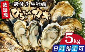 加熱用 殻付き牡蠣 5kg 真牡蠣 ひろちゃんカキ / 糸島市[AJA010]