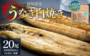 うなぎ 白焼き 国産 高知県産 白焼き 20尾(100～110g×20尾) 合計2kg以上 【7日程度で発送】 田野町完全天日塩 20g付き 黒箱 yw-0088