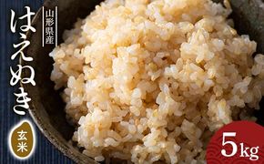 FYN6-281 令和7年度 山形県産 はえぬき 玄米 5kg お米 米 ごはん ご飯 げんまい 銘柄米 ブランド米 2025年 自宅 家庭 贈り物 プレゼント 贈答 ギフト 食品 山形県 西川町 月山