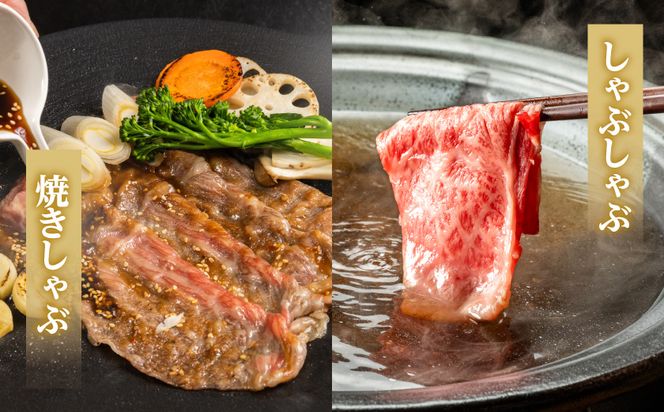 生産農家応援!宮崎牛ローススライス1.2kg_21-26-001-1200g
