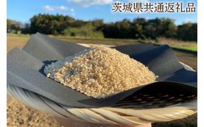 【できるだけ農薬を減らした】R7年産 マキタ超こしひかり 玄米5kg【茨城県共通返礼品・行方市産】【おいしい お米 マキタ 減農薬 安心 げんまい 20000円以下 鹿嶋市】（KBE-75）