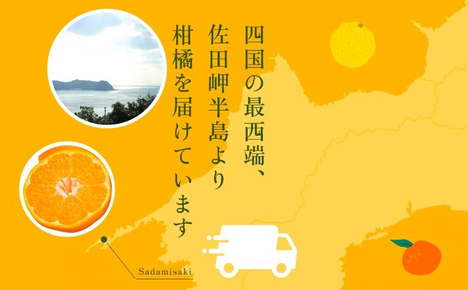 【先行予約】【数量限定】はるみ（生果5kg）※離島への配送不可（2026年1月下旬より順次発送予定） IKTBD009