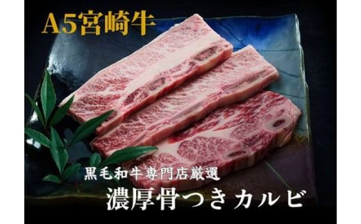 [黒毛和牛専門店直送]A5等級 宮崎牛 市場に出ない厚切り骨付き カルビ 300g(国産 黒毛和牛 赤身 霜降り カルビ A5等級 限定 人気)
