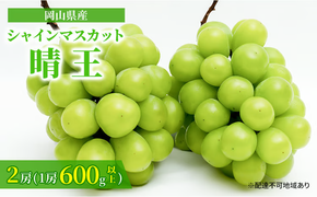 ぶどう 2026年 先行予約 シャイン マスカット 晴王 2房 （1房 600g以上） 化粧箱入り マスカット ブドウ 葡萄 岡山県産 国産 フルーツ 果物 ギフト 高級ぶどう 大粒 種なし 贈答品 [№5735-1461]