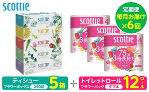 【定期便6回】【毎月お届け】【スコッティ】 組み合わせ ティシュー フラワーボックス 250組 5箱 計30箱 トイレットロール ダブル フラワーパック 3倍長持ち 12ロール 計72ロール ティッシュ トイレットペーパー 日用品 ストック 防災備蓄 ストック 備蓄 新生活 防災 消耗品 生活用品 日用消耗品 箱ティッシュ
