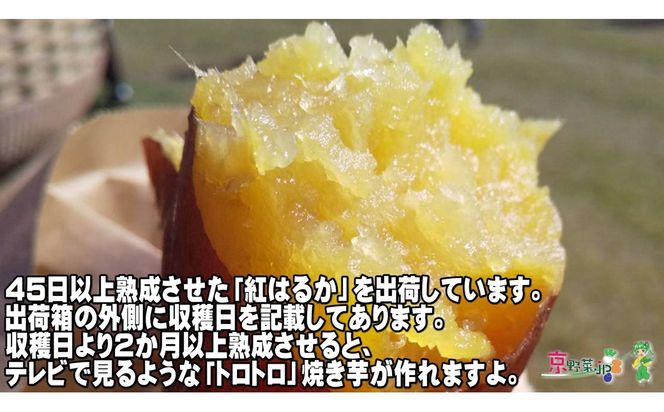 小さい紅はるか（京都産） 5kg　DJ00012