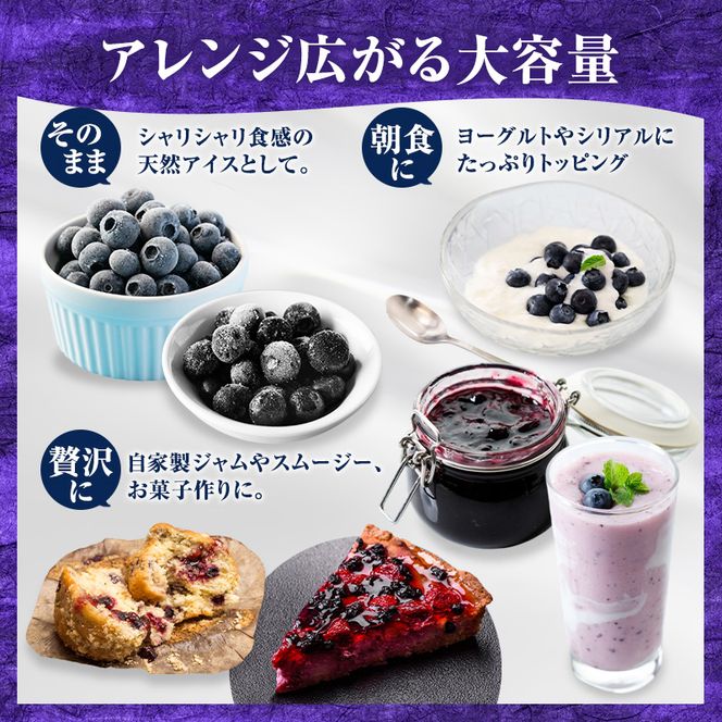 先行予約【朝採り】当日冷凍「北海道ニキブルーベリー」1kg（500g×2）サイズ混載 果物 くだもの 冷凍 フルーツ ブルーベリー 北海道 仁木［ぜにたに農園］