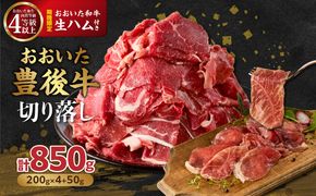 【A01149】【期間限定】おおいた豊後牛切り落し 200g×4P＋おおいた和牛生ハム 50g×1P