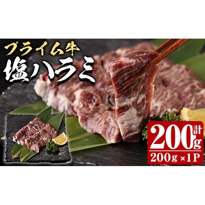 y啪szvC n~(v200g)    n~ ͂ t ē  BBQ Ⓚ 啪 syDH294zy()lNTz