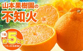 不知火 約5kg 1箱 15-20玉前後 山本果樹園《2月末-5月末頃出荷予定》しらぬい 熊本県 氷川町 柑橘---sh_ymtsni_ec25_r7_15000_5kg---