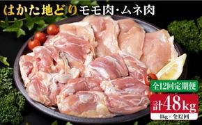 【全12回定期便】はかた地どり もも肉 2kg & むね肉 2kg 合計4kg セット 糸島【糸島ミートデリ工房】 [ACA159] 博多 鶏肉 鳥 もも むね モモ ムネ 焼肉 焼き肉 BBQ 小分け 国産