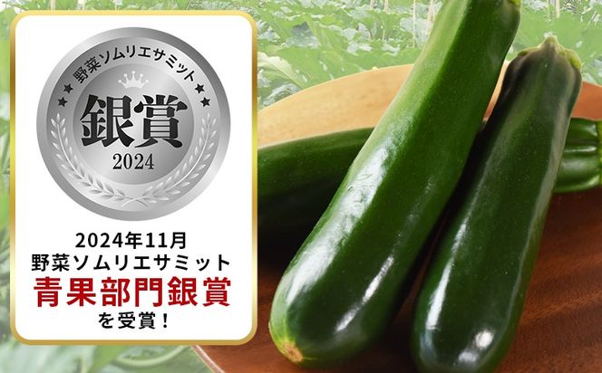 ＜野菜ソムリエサミット銀賞受賞！ あなたにズッキーニ約2kg（10本）＞翌月末迄に順次出荷【 野菜 青果 国産 生食 輪切り ソテー サラダ 天ぷら ラタトゥイユ 】【b0915_hf】