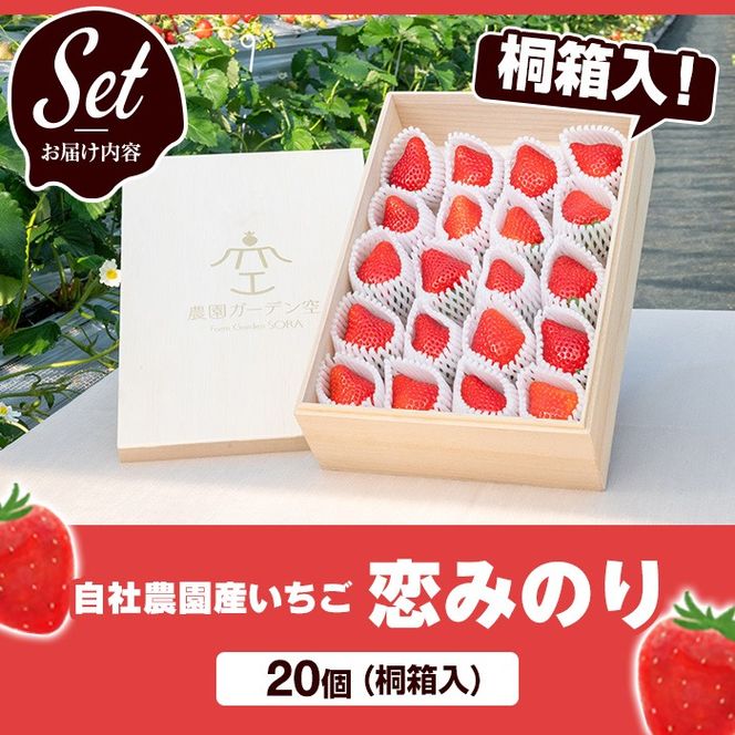 ＜先行予約受付中！2026年1月以降順次発送予定＞桐箱入！自社農園産いちご 恋みのり(計20個) 鹿児島 阿久根 自社農園 果物 フルーツ イチゴ いちご 苺 恋みのり 贈答用 ギフト 桐箱 デザート 期間限定【農園ガーデン空】akn026-11