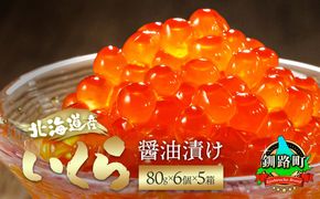 北海道産 いくら醤油漬け80g×6コ入り×5箱 小分け 【配送日時指定可能】 国産 しょう油 イクラ ikura 鮭 鮭卵 鮭いくら 魚卵 冷凍 配送月指定 配送月を選べる 配送時期 発送月が選べる 発送月 スピード発送 すぐ届く 魚介類 海鮮 絶品 人気 笹谷商店 せんのすけ すぐ発送  北海道 釧路町 釧路超 特産品