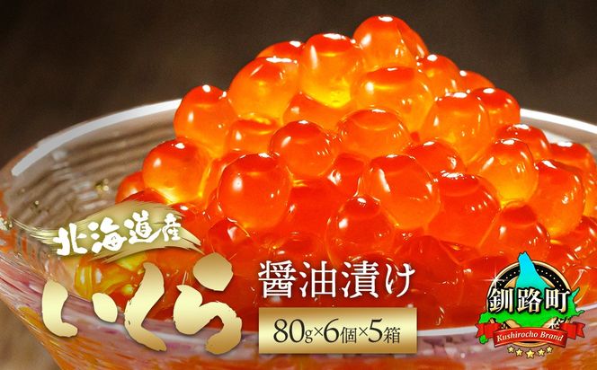 北海道産 いくら醤油漬け80g×6コ入り×5箱 小分け 【配送日時指定可能】 国産 しょう油 イクラ ikura 鮭 鮭卵 鮭いくら 魚卵 冷凍 配送月指定 配送月を選べる 配送時期 発送月が選べる 発送月 スピード発送 すぐ届く 魚介類 海鮮 絶品 人気 笹谷商店 せんのすけ すぐ発送  北海道 釧路町 釧路超 特産品