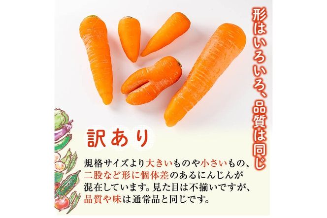 a992 《訳あり》《先行予約受付中！2026年12月上旬～2027年3月上旬の間に発送予定》有機人参 (10kg)【今村農園】姶良市 国産 有機栽培 有機 野菜 やさい にんじん ニンジン 訳アリ
