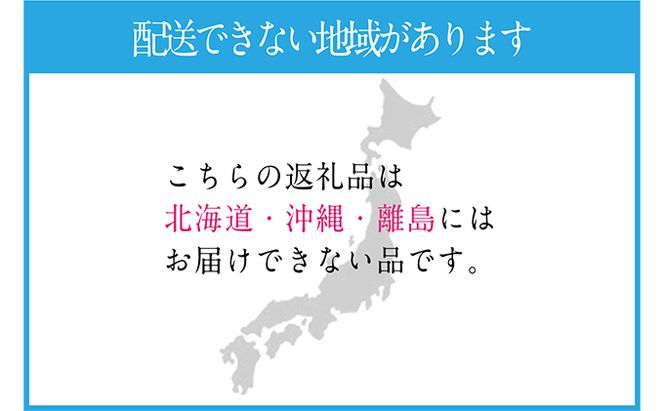 ぶどう 2026年 先行予約 【2回定期便】 シャイン マスカット 晴王 1房 約600g ブドウ 葡萄  岡山県産 国産 フルーツ 果物 ギフト デザート 食後 酸味が少ない 9月・10月にお届け ハレノフルーツ