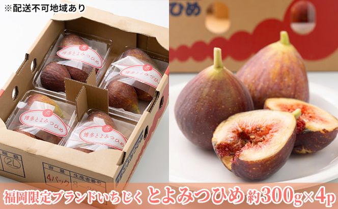 いちじく とよみつひめ 福岡限定 ブランド 約300g×4パック 配送不可 北海道 東北  沖縄 離島 果物詰合せ フルーツ 