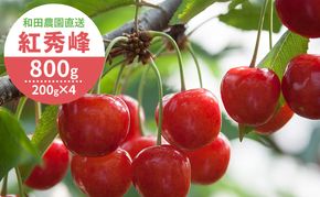 [先行受付] 北海道 仁木町産 さくらんぼ 紅秀峰 800g（400g×2パック）  サクランボ チェリー フルーツ 果物 果物類  仁木町 仁木 [和田農園]