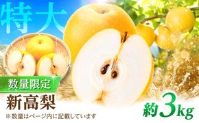 【9〜10月発送】【梨の王様】 こだわり 新高梨 約3kg / 梨 ナシ フルーツ 果物 旬 先行予約 産地直送 家庭用 国産 / 南島原市 / 株式会社マルハチ[SFG001]