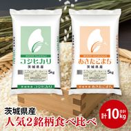 【人気2銘柄食べ比べ】令和7年産 茨城県産 コシヒカリ・あきたこまち　5kg×各1袋（計10kg）【お米 米 コメ こめ たべくらべ 40000円以内】(AL270)