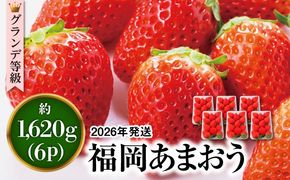 【先行予約】あまおう いちご 1,620g ( 約 270g × 6パック ) 【2026年3月初旬より順次発送】 糸島市 / 株式会社HSP-テクノ [AZL002] ブランド いちご あまおう 数量限定 先行予約 果物 フルーツ 苺 イチゴ