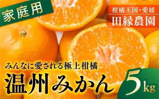 【先行予約】【家庭用】早生みかん 5kg ｜ 柑橘 みかん ミカン フルーツ 果物 愛媛　※離島への配送不可　※2024年11月下旬～12月上旬頃に順次発送予定