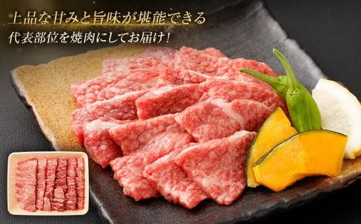 ＜≪肉質等級4等級以上≫宮崎牛リブロース焼肉セット（600g）＞入金確認後、翌月末までに順次出荷【c1427_tu】 宮崎牛 牛肉 肉 お肉 黒毛和牛 ブランド肉 リブロース ロース 霜降り 霜降り肉 焼き肉 焼肉 冷凍 国産