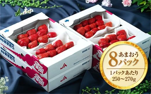 福岡産あまおう春８パック ※2025年2月上旬から2025年3月下旬に順次発送予定　AX005