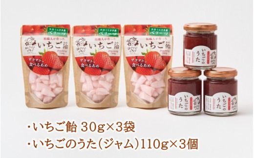 はっとりさんちのいちご飴Aセット_2525R