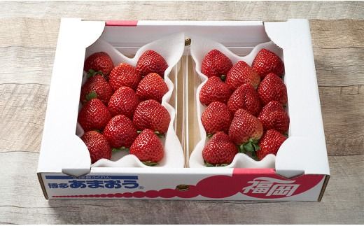【冬】福岡産 あまおう いちご 約250g×2パック 【2026年12月上旬～2027年1月下旬発送予定】 大粒