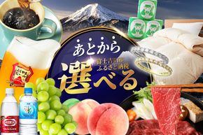 あとからセレクト【ふるさとギフト】１万円～１００万円 コーヒー あんこ ヘアケア シャンプー 天然水 炭酸水 ふとん 布団 餃子 ふじやまビール シャインマスカット 桃 シチズン ジュエリー ウォーターサーバー 山梨 富士吉田