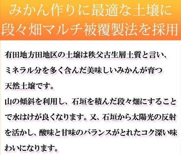 G7342_【2026年11月下旬頃より発送】高級ブランド 田村みかん 5kg【家庭用 訳あり】