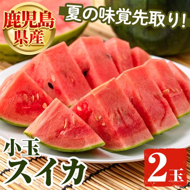 ＜先行予約受付中！2026年5月下旬以降順次発送予定＞鹿児島県産 小玉スイカ(2玉) 国産 果物 スイカ すいか 西瓜 フルーツ スイーツ スムージー ジュース 期間限定【松永青果】akn053-06