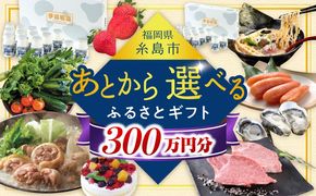 【あとから選べる】糸島市ふるさとギフト 300万円分 コンシェルジュ 糸島[AZZ014]