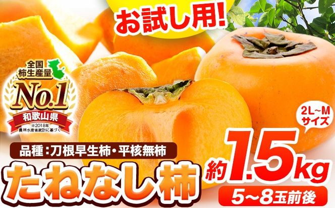 【先行予約】 お試し用！ たねなし柿（刀根早生柿・平核無柿）約1.5kg（5～8玉前後）《2025年9月中旬-11月上旬頃出荷》 和歌山県 紀の川市 種なし柿 産地直送 柿 果物 フルーツ 2L～Mサイズ カキ---wfn_wlocal76_9c11j_25_6000_15---
