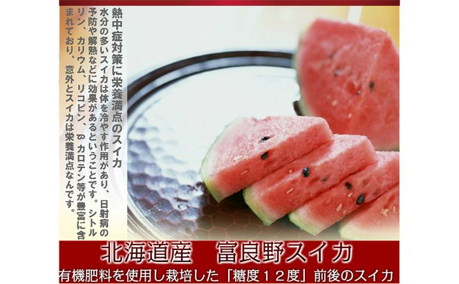 【2026年夏発送】スイカ 2L 1玉 ≪6kg以上≫ 北海道 富良野市 フルーツ 果物 すいか