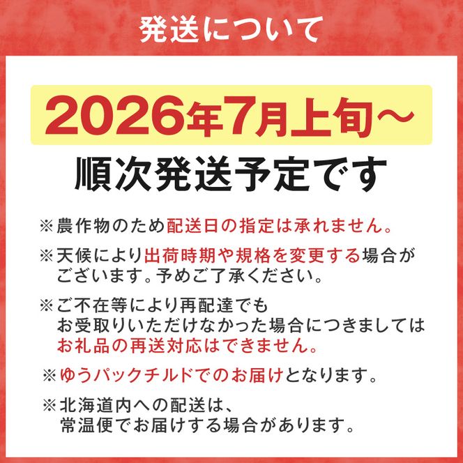 【先行予約2026年7月上旬より発送】余市の砂川果樹園が贈る もぎたて直送さくらんぼ 佐藤錦 2kg箱_Y033-0039