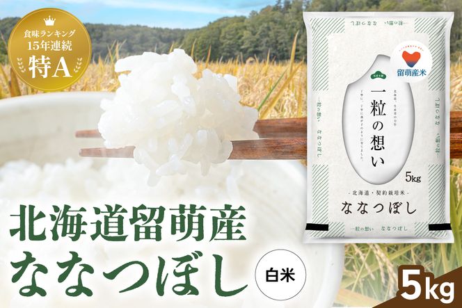 米 令和8年産 留萌市産 ななつぼし 5kg R037-008