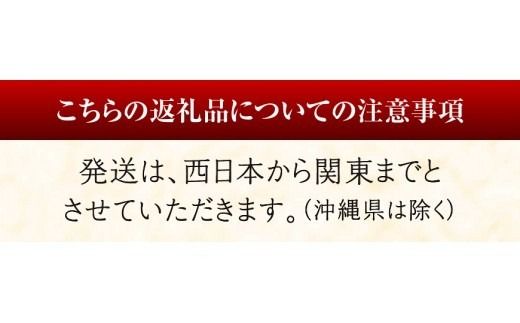 ※内容量が選べる※【担当者厳選！】伊勢海老 【 伊勢えび 魚介類 いせえび 海産物 宮崎県産 国産 】 [B04401][B04402] [B04403]