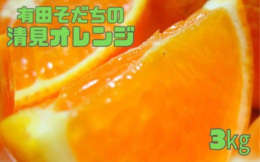 【2027年2月下旬～5月上旬順次発送予定】有田育ちの完熟清見オレンジ(ご家庭用)　約3kg+200g(補償分)【ard016C】