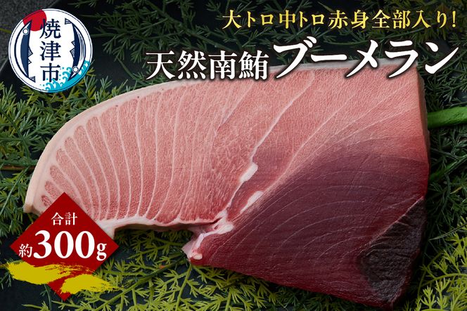 yÉĒÎsza11-158@VR }O u[ 300g