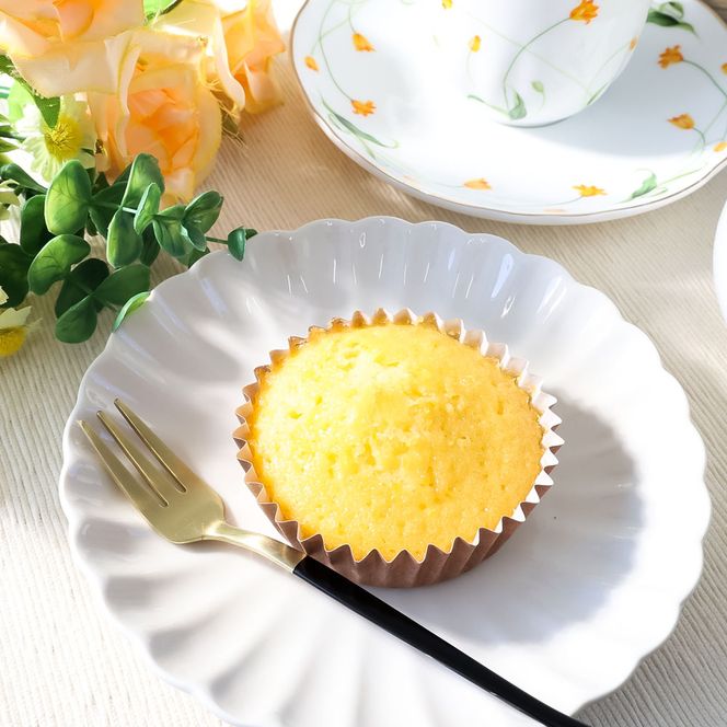 まどれぇぬ マドレーヌ 12個入り(6種×各2個) 田野屋塩二郎の天日塩使用 取り寄せ スイーツ デザート 完全天日塩 おやつ お菓子 洋菓子 焼き菓子 プレゼント 個包装 お取り寄せスイーツ 配送 高知 返礼品