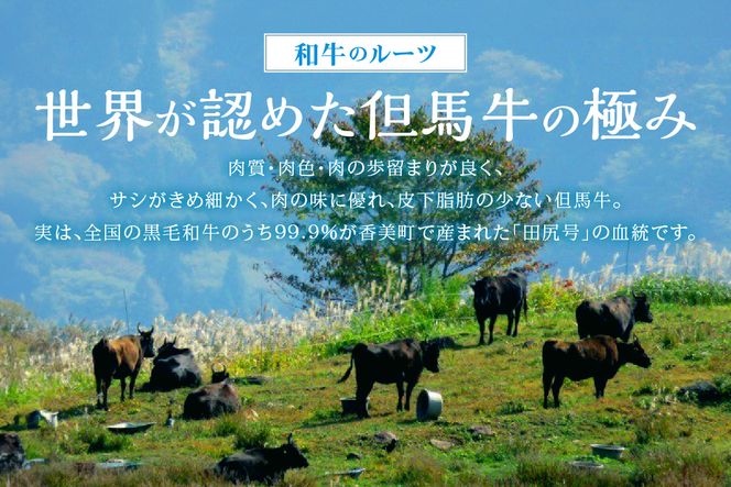 【訳あり 但馬牛 特製たれ漬け 焼肉ミックス 1kg】冷凍 配送日指定不可 黒毛和牛 ルーツ 香美町 産地直送 国産 牛肉 ステーキ しゃぶしゃぶ すき焼き バーベキュー キャンプ 焼肉 和牛 ふるさと納税 おすすめ 返礼品 但馬 神戸 兵庫県 香美町 村岡 牛将 村岡ファームガーデン 17000円 TJM WKA 02-39