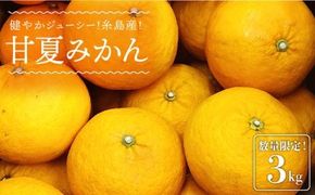 【先行予約】健やかジューシー・夏の味 糸島産甘夏みかんM〜L玉・約3kg 【2026年4月より順次発送】 二丈赤米産直センター[ABB008]