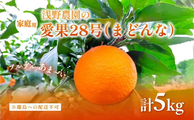 【先行予約】【数量限定】浅野農園の愛果28号（まどんな）家庭用計5kg※離島への配送不可（2026年12月中旬～2027年1月中旬頃に順次発送予定）IKTAC025