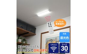 LED多目的灯 リモコン30cm 昼光色ALT-3030RE(D) 272183_AZ249