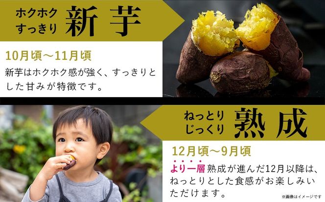 島津甘藷　熟成紅はるか 5kg(2L～M)_LE-A701